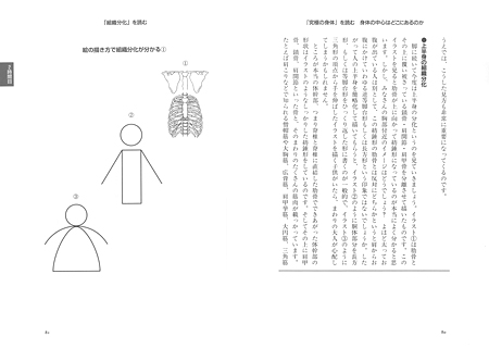 絵の描き方で組織分化が分かる①